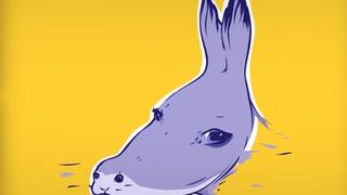 ¿Qué ves en la imagen? ¿Una foca o un burro? La ilusión óptica que ha ‘desconcertado’ a miles en redes