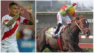 Paolo Guerrero recordó a su caballo campeón y Claudio Pizarro le dejó un divertido comentario [VIDEO]