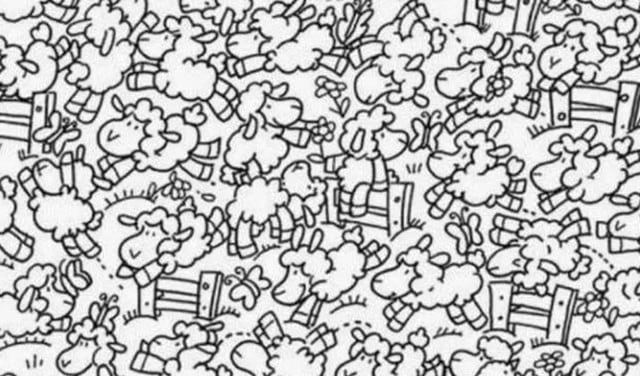 Reto viral 2020: Encuentra al pollito entre las ovejas en menos de 30 segundos. ¿Podrás?