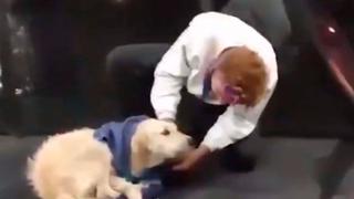 Hombre se quita el chaleco para abrigar a perro que moría de frío y se gana el corazón de todos 