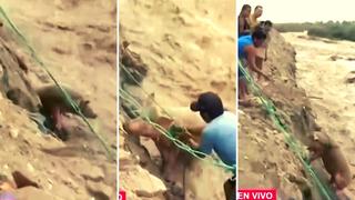 Video viral: Hombre arriesga su vida para salvar a un chanchito que cayó al río