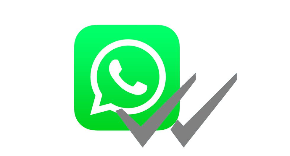 WhatsApp: How do you know when your messages were read or listened to even if they hide the blue check mark |  wander |  Applications |  Smart phones |  cellular |  technology |  nnda nnni |  sports game