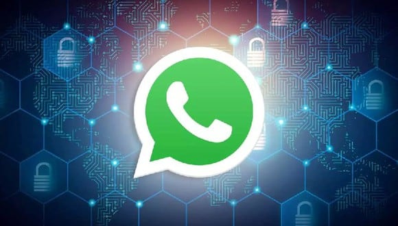 Configurando de esta manera tu cuenta de WhatsApp, reforzarás tanto la privacidad como la seguridad de tus datos personales (Foto: Archivo Mag / ADSLZone)