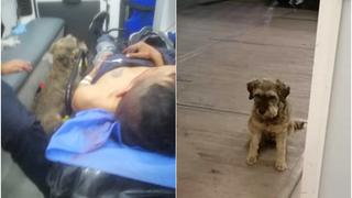 Un perro persigue a la ambulancia que traslada a su dueño y los paramédicos le dejan subir