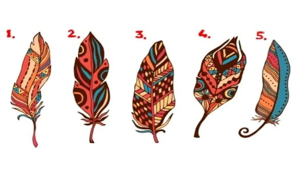 TEST VISUAL | En esta imagen se aprecian muchas plumas. Tienes que seleccionar una para para que descubras cuál es tu mayor poder interior. (Foto: namastest.net)