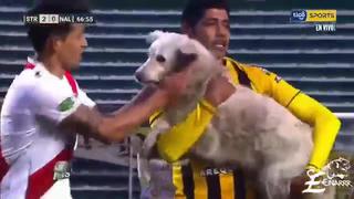 Un viral de aquellos: perro que entró al campo en Bolivia terminó con final feliz con un futbolista [VIDEO]