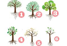 Sabrás más sobre tu forma de ser si escoges un árbol