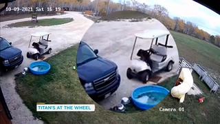 Viral: Perro que conducía carrito de golf se estrella con el automóvil de su dueño y huye para evitar castigo