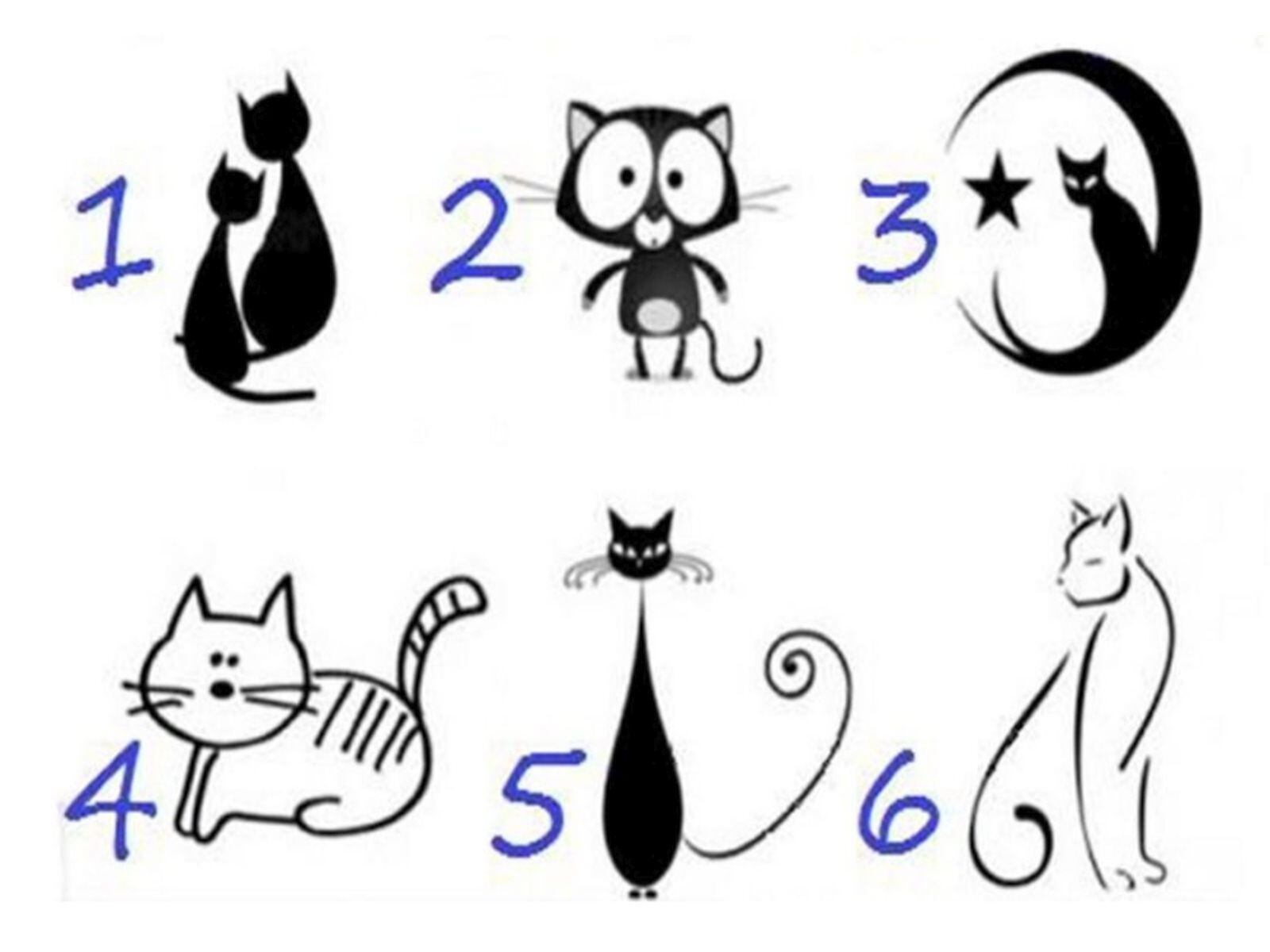 TEST VISUAL | Esta imagen te muestra bastantes gatos. Tienes que escoger uno. (Foto: namastest.net)