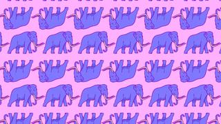 Encuentra a los elefantes: hay dos ocultos entre mamuts del reto viral y tienes 20 segundos [FOTOS]