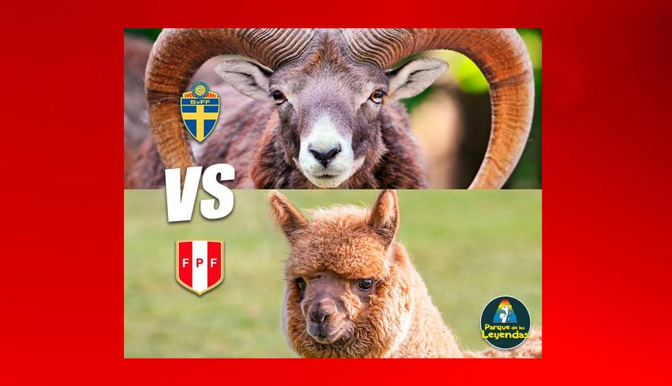 Perú vs. Suecia: los memes calientan la previa del último partido amistoso de la bicolor.