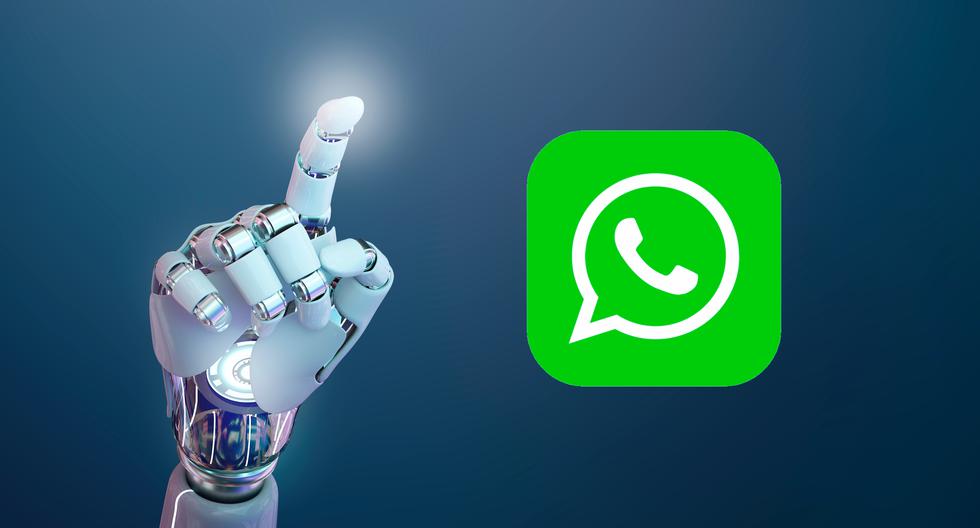 Kroki, aby aktywować przycisk sztucznej inteligencji w WhatsApp |  Zabawa sportowa