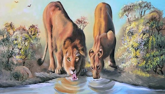 En esta imagen de ilusión óptica, leones se esconden a simple vista ¿podrás verlos? (Foto: jagranjosh)