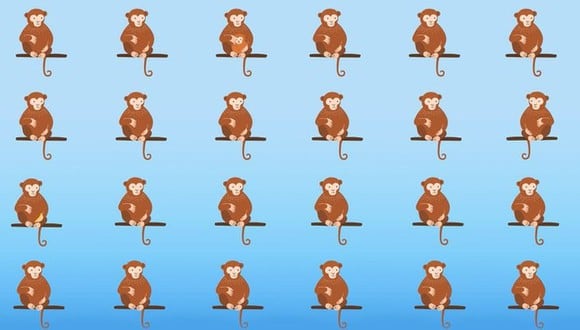 En esta imagen, cuyo fondo es de color celeste, hay muchos monos. Curiosamente, 3 de ellos son diferentes al resto. (Foto: genial.guru)