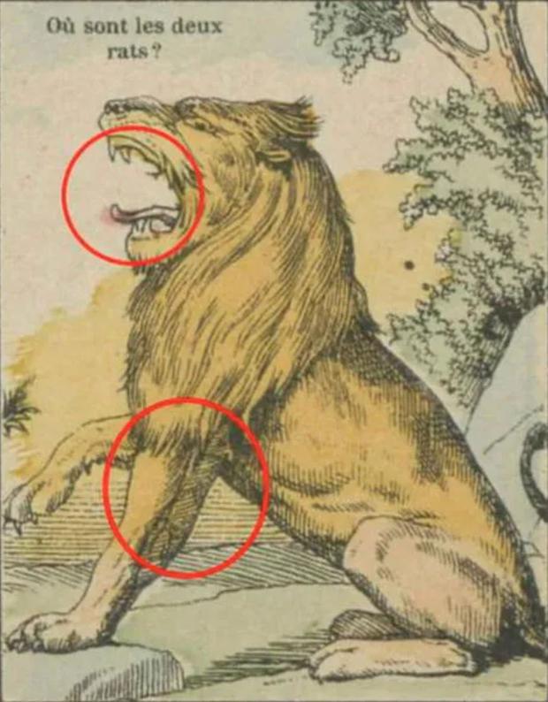 Solution: Look at where the two rats were in the lion visual puzzle in the image below (Photo: Bright Side).