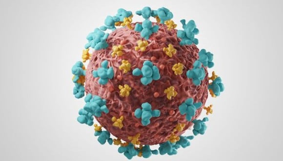 El SARS-CoV-2 puede utilizar el sistema inmune para dañar el organismo que invade. (Foto: Getty)