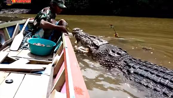 Video viral | Un hombre navega por un río y alimenta a un enorme y  monstruoso cocodrilo | Indonesia | YouTube | YT | México | MX | USA |  virales | zoo | animales | Trends | nnda nnrt | MEXICO | DEPOR
