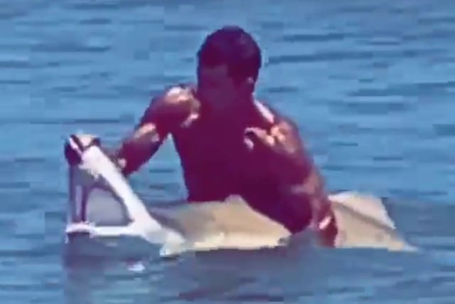 Un video viral muestra cómo un bañista manipuló a un tiburón usando solo sus manos en una playa de Delaware, en Estados Unidos. (Fotos: Rachael Foster en Facebook)