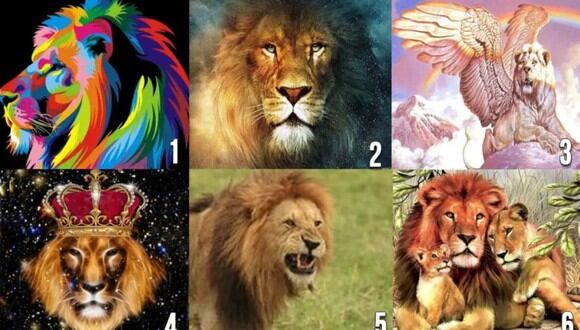 TEST VISUAL | En esta imagen hay varios leones. Escoge el que más te guste. (Foto: namastest.net)