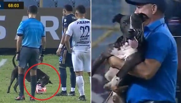 En esta imagen se aprecia el momento en que un perro detuvo un partido de la Concachampions al ingresar al campo para morder la pelota. (Foto: @FOXSoccer / Twitter)