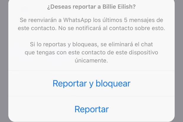 This is the message that appears if you end up reporting someone on WhatsApp.  (Photo: MAG - Rommel Yupanqui)