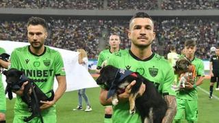 ¡Golazo de cuatro patas! Fútbol rumano promoverá adopción de perros en cada partido