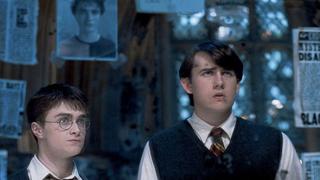 5 diferencias y 5 similitudes entre Harry Potter Neville Longbottom 