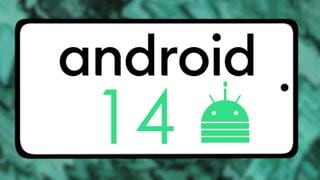 Los pasos para descargar la nueva beta de Android 14 en tu celular