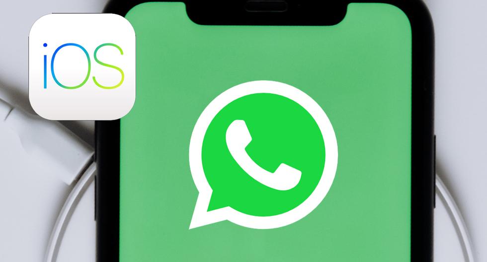 Wiadomość o pierwszej aktualizacji WhatsApp 2024 na iOS |  Zabawa sportowa