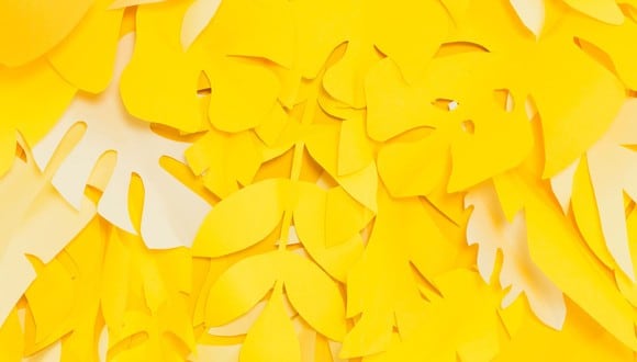 Aprende hacer unas flores amarillas de papel | Foto: freepik.es