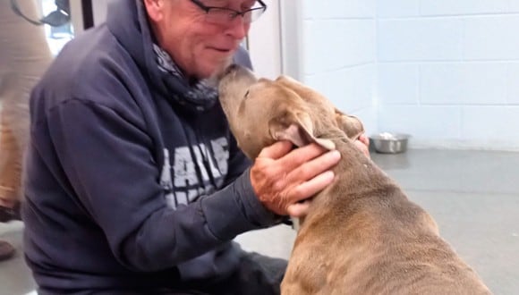 El momento en que un hombre se reunió con su perro después de 200 días conmovió a miles de usuarios. (Foto: Washington County, TN Animal Shelter / Facebook)