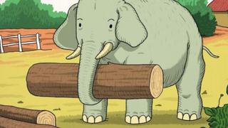 Encuentra al animal oculto junto al elefante: un reto del que todos hablan y pocos logran resolver [FOTO]