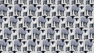Solo unos pocos pueden resolverlo: ¿miras a los 6 lobos disfrazados de ovejas?