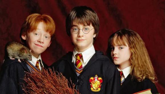La saga de "Harry Potter" fue una de las más vistas desde el 2001. (Foto: Medyapım / MF Yapım)