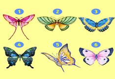 Elegir una mariposa te permitirá conocer más sobre tu personalidad