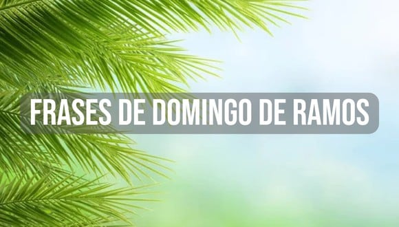 FRASES | Este año 2024, el Domingo de Ramos, también considerado el último domingo de Cuaresma, se celebrará en todas las iglesias el 24 de marzo. (Vecteezy)