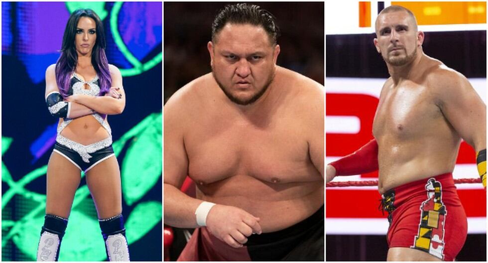 Los luchadores que fueron despedidos de WWE en las últimas horas. (WWE)