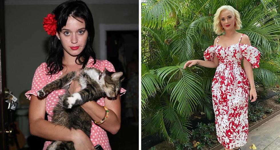 La cantante Katy Perry fue dueña de "Kitty Purry" por quince años. (@katyperry)