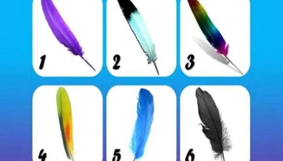 TEST VISUAL | En esta imagen se puede apreciar muchas plumas. ¿Cuál es tu favorita? (Foto: namastest.net)