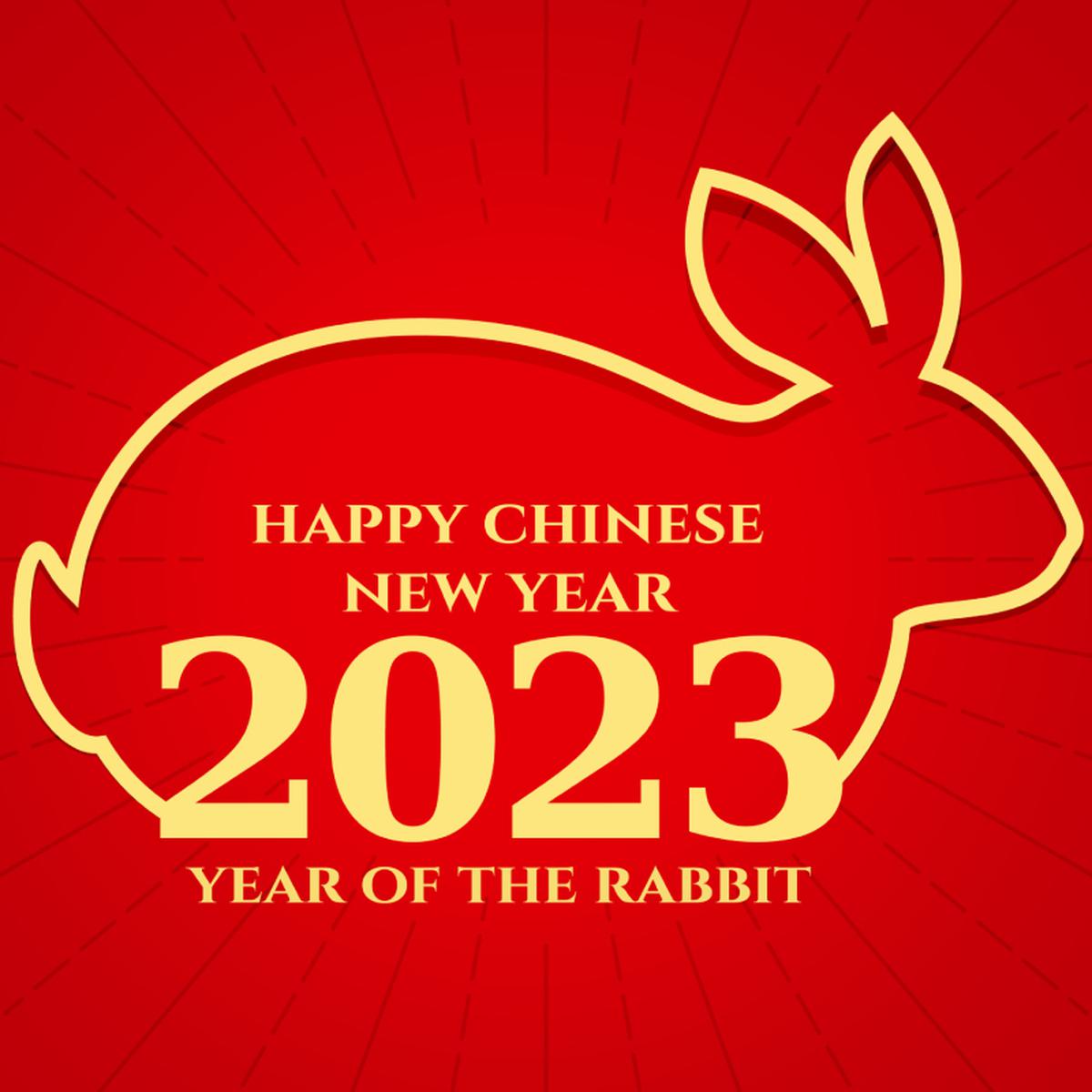 Horóscopo Chino 2023: qué animal te representa, predicciones, elementos y  signos según tu fecha de nacimiento, Año del Conejo del Agua, Tarot, MEXICO