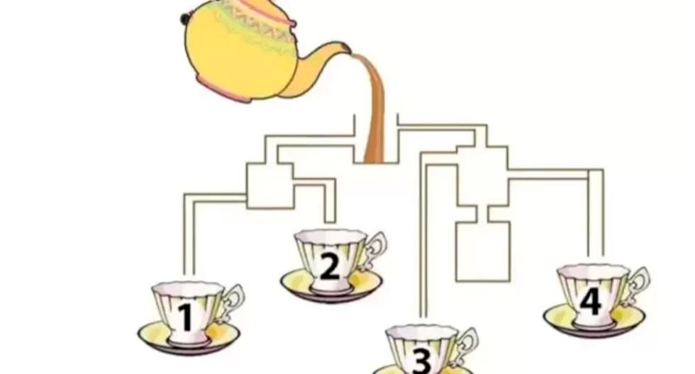 Use your logic and find out which cup will be filled first in this visual quiz |  Mexico