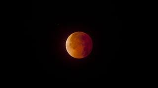 Eclipse parcial lunar, noviembre: cómo, cuándo y dónde ver este evento en México