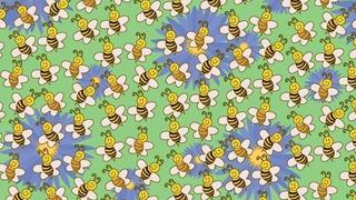 Hay que buscar al ‘impostor’: ¿Dónde se encuentra el 'bicho’ entre las abejas de la imagen viral que divide las redes [FOTOS]