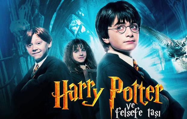 Epico "Harry Potter" Uno dei siti più visti dal 2001 (Foto: Medyapım / MF Yapım)