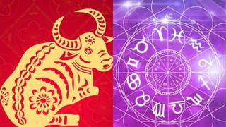 Año Nuevo 2021: lo que predice para cada signo del zodiaco el Horóscopo Occidental y Horóscopo Chino