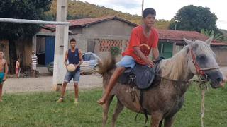 Caballo se convierte en el centro de atención al ‘jugar fútbol’ con sus dueños