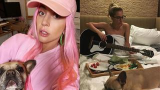 Lady Gaga dará “con mucho gusto” recompensa a mujer que encontró a sus perros