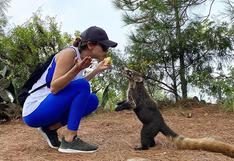 El video viral del coatí que se come la manzana de Yanet García