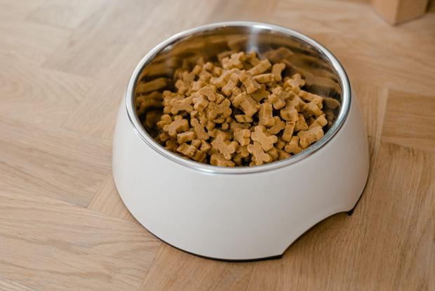 El plástico de buena calidad y el acero inoxidable en los platos de tu mascota son opciones accesibles y que durarán más tiempo. (Foto: Pexels)