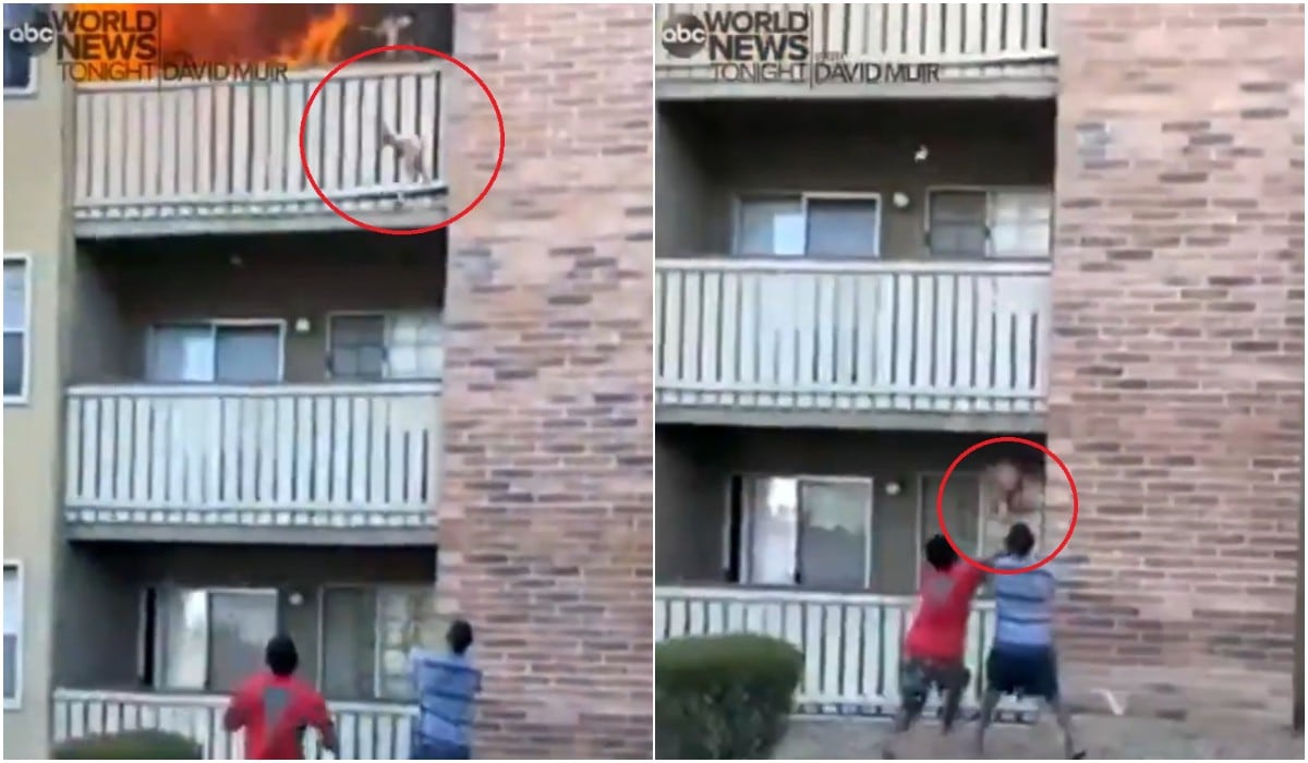El espectacular rescate de un bebé lanzado desde el tercer piso durante incendio en Estados Unidos. (Captura/Twitter)